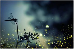 Tablou - Libelula în noaptea strălucitoare (90x60 cm)