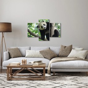 Tablou - Panda in copac (90x60 cm)