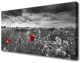 Tablou pe panza canvas Flori Meadow Natura Gri Roșu