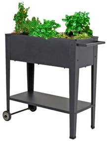 Suport pentru plante din metal Garden Pleasure