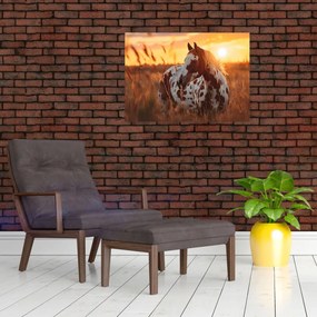 Tablou - Cal la Apus (70x50 cm)