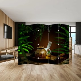 Paravan - Obiectele spa (210x170 cm)