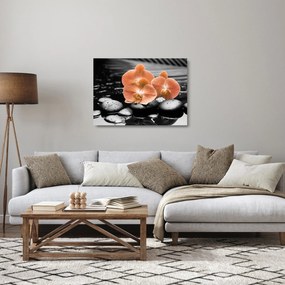 Tablou pe sticlă - Orhidee portocalii (70x50 cm)