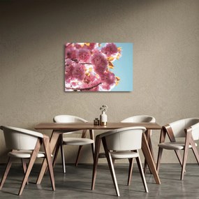 Tablou pe sticlă - Floare de cireș (70x50 cm)