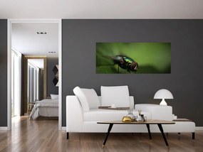 Tablou - Musca (120x50 cm)