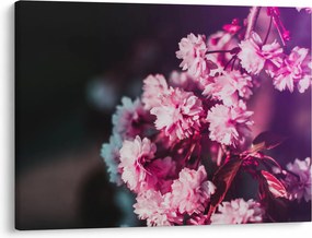 Tablou cu florile copacilor (70x50 cm)
