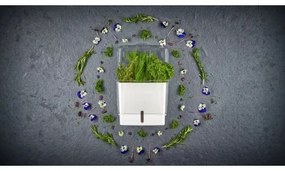 Recipient pentru ierburi proaspăt tăiate Cole&Mason