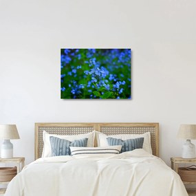 Tablou pe sticlă cu flori albastre (70x50 cm)