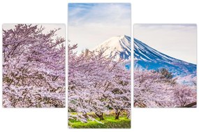 Tablou - Japonia în primăvară (90x60 cm)