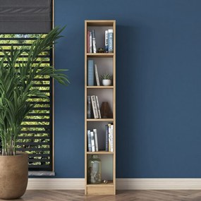 Bibliotecă Hale Walnut