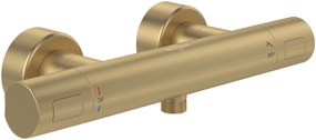 Villeroy &amp; Boch Universal Taps &amp; Fittings baterie de duș perete da auriu TVS00001700076