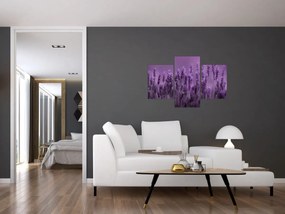 Tablou - Lavanda (90x60 cm)