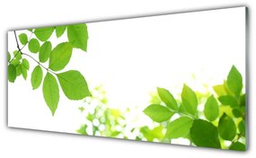 Tablouri acrilice Petale Floral Alb Verde