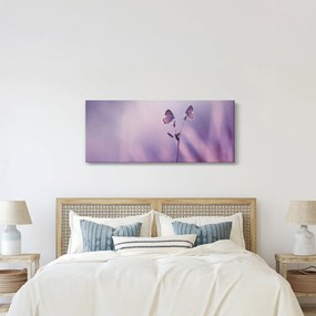 Tablou - Fluturi mov (120x50 cm)