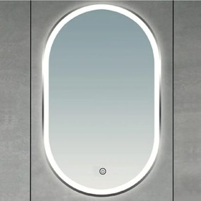 Oglindă de baie ERBA Brilagi-LED, LED 25W, 230V, 50x80 cm, aurie, IP44, CRI 90, dimmabilă + CCT