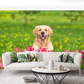 Fototapet Dog Lalele