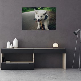 Tablou cu câinele alb (90x60 cm)