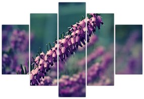 Tablou cu floare violetă (150x105 cm)
