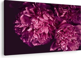 Tablou - Floarea bujorului (90x60 cm)