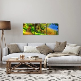 Tablou - poteci pe malul apei (cu ceas) (90x30 cm)