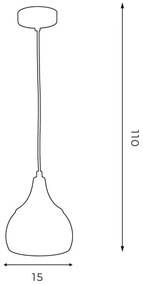 Lustră pe cablu AKTAN 1xE27/60W/230V neagră