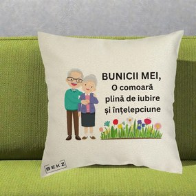 Cadou pentru Bunici - Perna Personalizata Bunicii Mei Comoara Cuplu Senior cu Flori Colorat, 40x40 cm, Ecru, Husa Detasabila, Perna Inclusa, BEKZ®