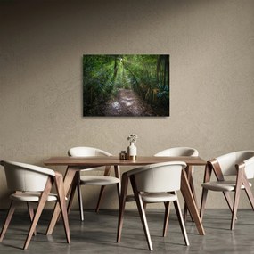 Tablou pe sticlă - Razele solare în junglă (70x50 cm)