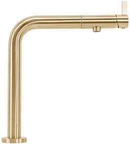 Baterie de bucătărie REA COLE Brush Gold