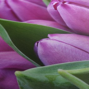 Tablou - florile lalelelor (120x50 cm)