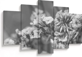 Tablou - Flori uscate (150x105 cm)