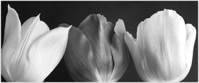 Tablou - Lalele alb negre (120x50 cm)
