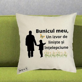 Cadou pentru Bunic - Perna Personalizata Bunicul Meu Izvor de Liniste cu Fluture si Baietel, 40x40 cm, Ecru, Husa Detasabila, Perna Inclusa, BEKZ®