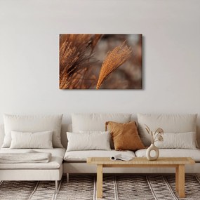 Tablou - Cortaderie (90x60 cm)