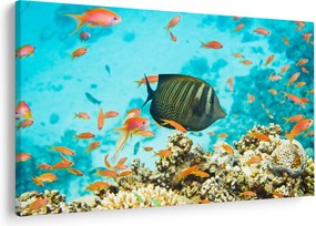Tablou lumii submarine (90x60 cm)