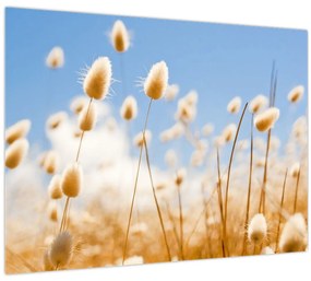 Tablou - Câmp de aur (70x50 cm)