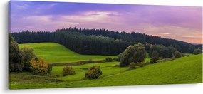 Tablou cu lunca (120x50 cm)