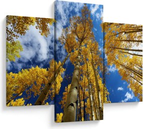 Tablou - Aspen (90x60 cm)