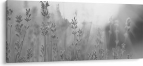 Tablou - Lavanda (120x50 cm)
