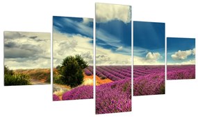 Tablou cu câmp de levandă (125x70 cm), în 40 de alte dimensiuni noi