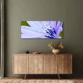 Tablou - Floare (120x50 cm)