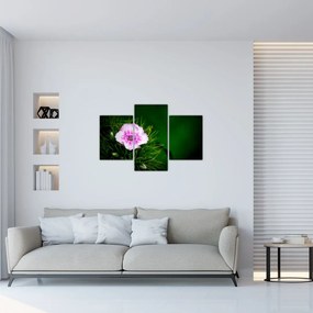 Tablou cu floare roz (90x60 cm)