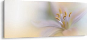 Tablou - Floare fragedă (120x50 cm)