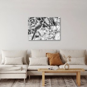 Tablou - Bluebird în timpul iernii (70x50 cm)
