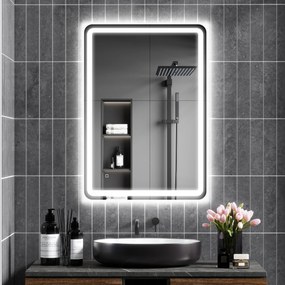 kleankin Oglinda pentru Baie cu Lumini LED, 70x 4 x 100cm, Argintiu | Aosom Romania