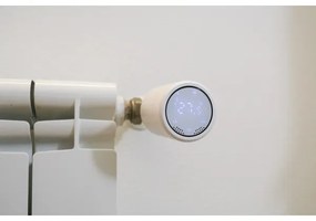 Cap termostatic 2xAA/3V Tuya Immax 07732L