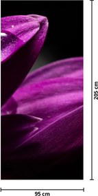 Fototapet pentru ușă - Picătură de apă (95x205cm)