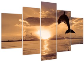 Tablou - Delfin la apus de soare (150x105 cm)