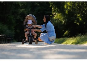 Tricicletă pentru copii 3 în 1 QPlay RITO STAR gri deschis