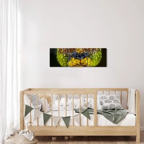 Tablou detailat cu ochii de omidă (cu ceas) (90x30 cm)