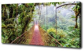 Print pe canvas Bridge în tropice